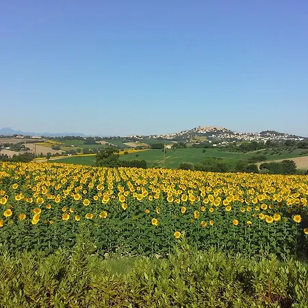Casa di campagna Belvedere Degli Ulivi Osimo