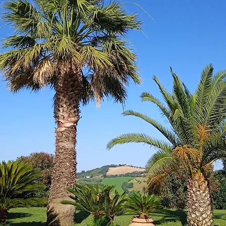 Casa di campagna Belvedere Degli Ulivi *