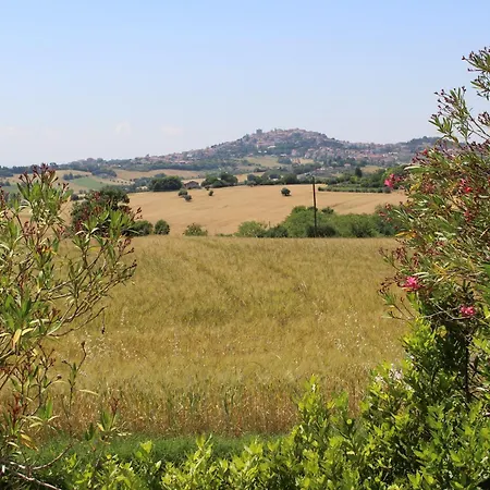 Belvedere Degli Ulivi *