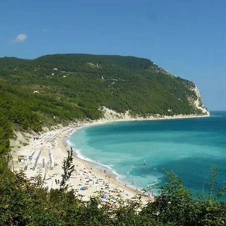 Belvedere Degli Ulivi Osimo