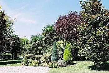 Belvedere Degli Ulivi *