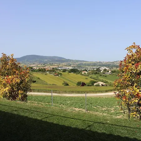 Belvedere Degli Ulivi Landhaus Osimo